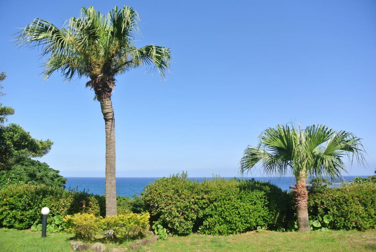 Yakushima Green Hotel Yakushima (Kagoshima) Exterior foto